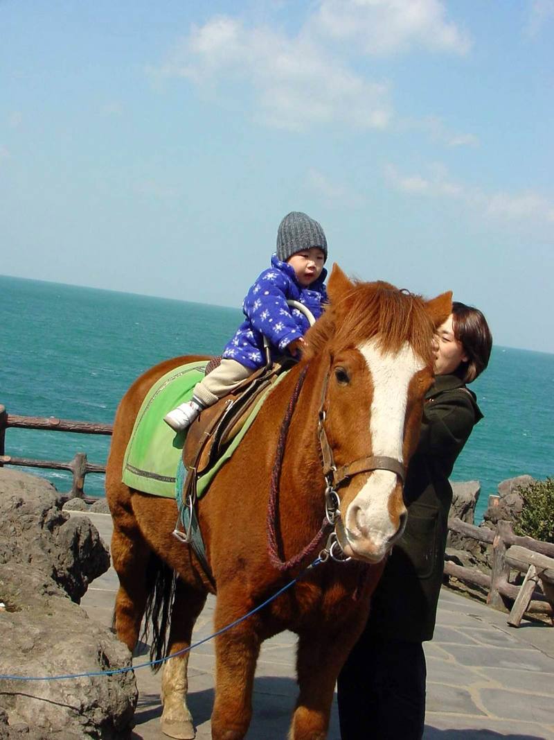 Cheju Pony and my son; DISPLAY FULL IMAGE.