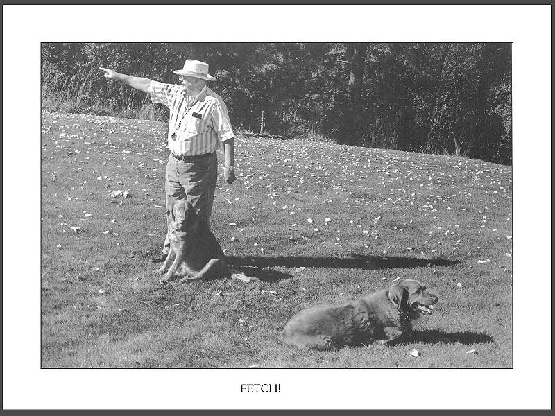 [Funny] Fetch!; DISPLAY FULL IMAGE.