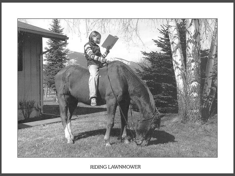 [Funny] Riding Lawnmower; DISPLAY FULL IMAGE.