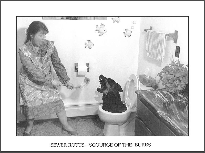 [Funny] Sewer Rotts -- Scourge of the 'Burbs; DISPLAY FULL IMAGE.