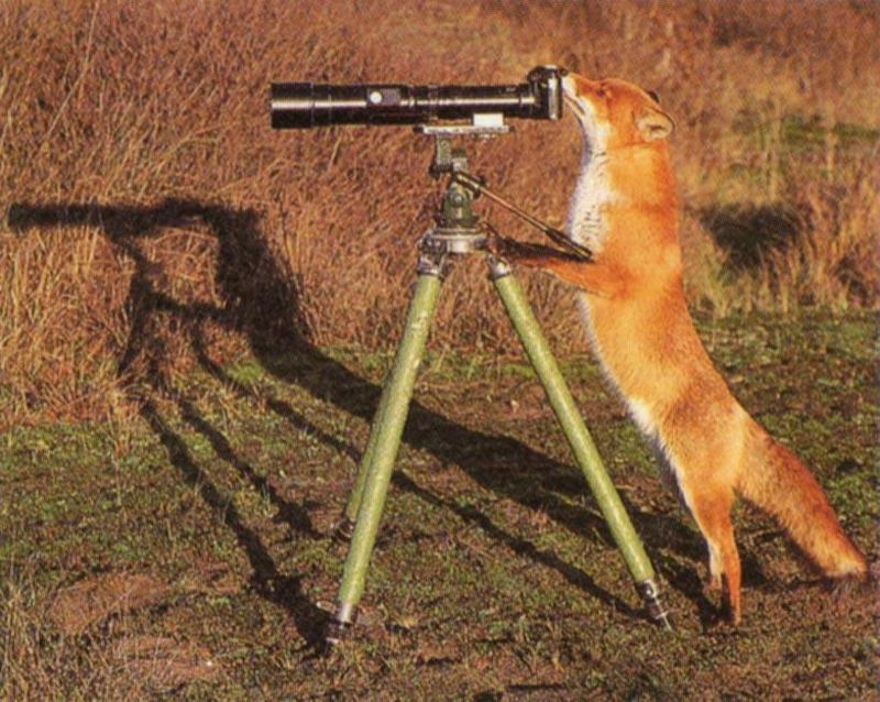 [Funny] Photography? It's easy!; DISPLAY FULL IMAGE.