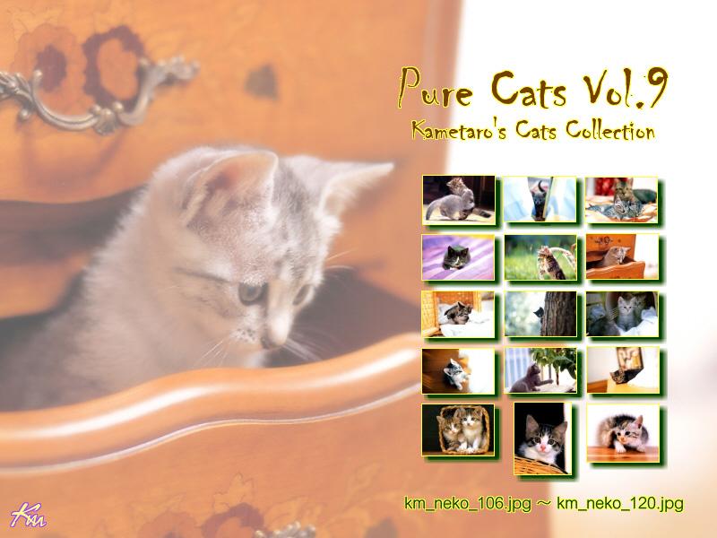 Kametaro's Cats Collection: Pure Cats Vol. 9 - Kitten - Index; DISPLAY FULL IMAGE.