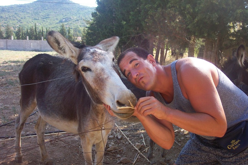 Donkey Love!!!!; DISPLAY FULL IMAGE.