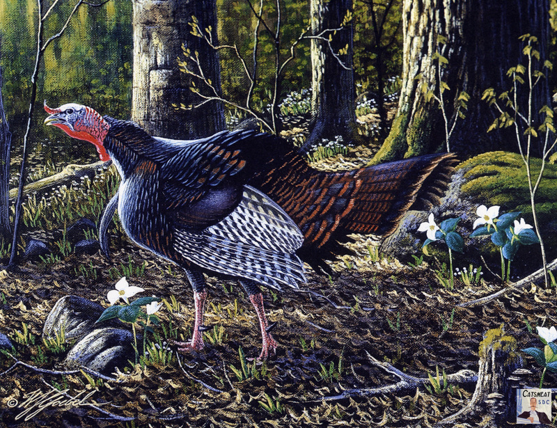 Catsmeat SDC 2003 - Weyer Wildlife Calendar 03: Wild Turkey - oil painting by Wilhelm Goebel; DISPLAY FULL IMAGE.