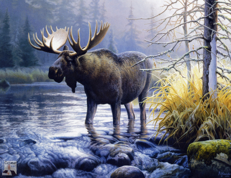 Catsmeat SDC 2003 - Weyer Wildlife Calendar 10: Moose - oil painting by Greg Alexander; DISPLAY FULL IMAGE.