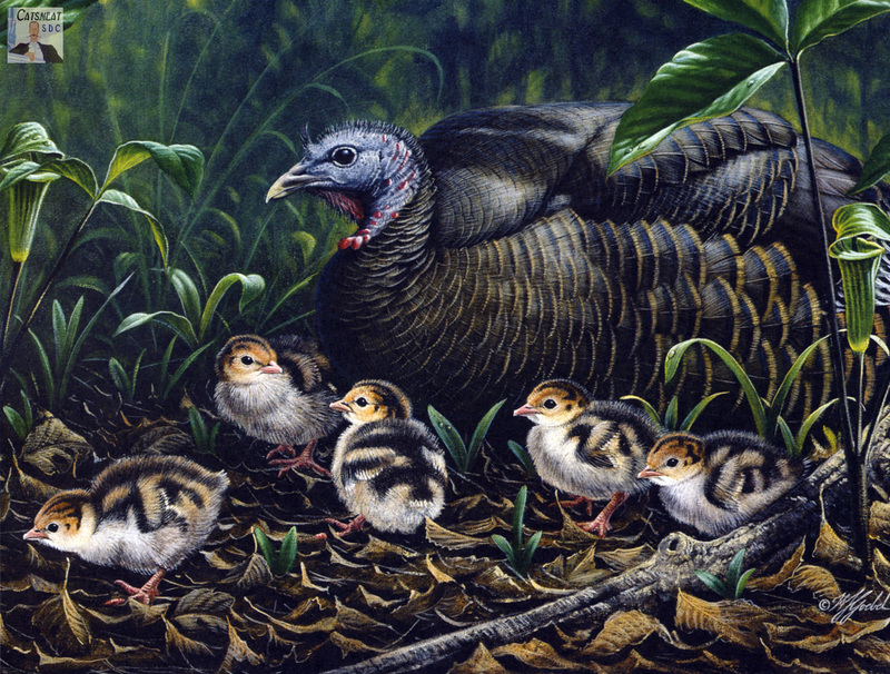 Catsmeat SDC 2004 - Weyer Wildlife Calendar 04: Wild Turkey family by Wilhelm Goebel; DISPLAY FULL IMAGE.
