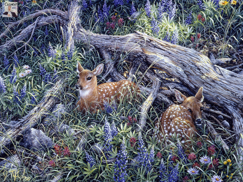 Catsmeat SDC 2004 - Weyer Wildlife Calendar 05: Fawns by Jeff Tift; DISPLAY FULL IMAGE.