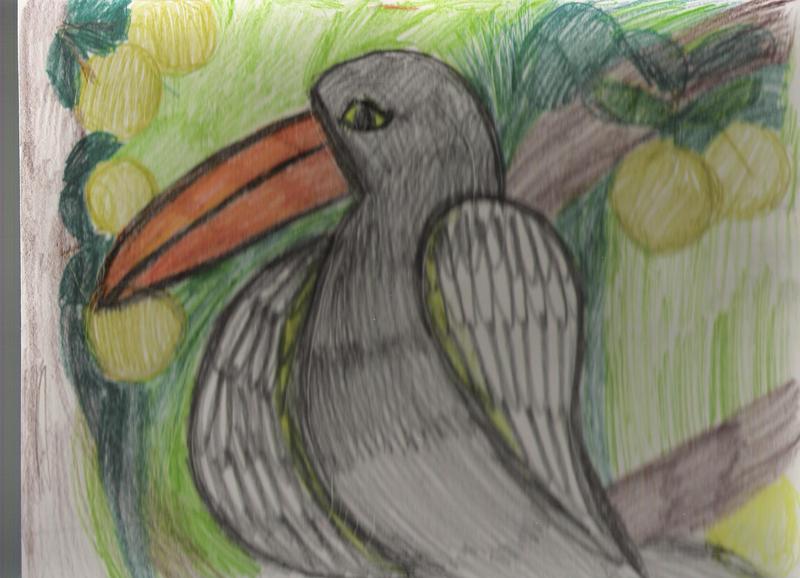 TOUCAN; DISPLAY FULL IMAGE.