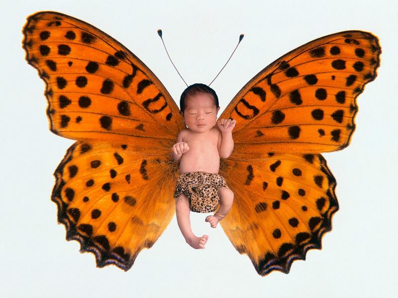 Modern Metamorphosis; DISPLAY FULL IMAGE.