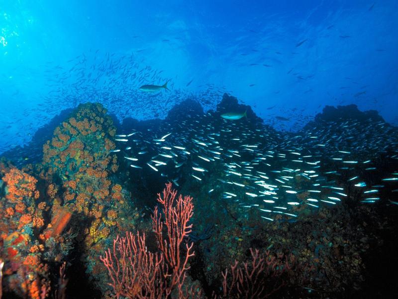 Los Roques Reef, Venezuela; DISPLAY FULL IMAGE.