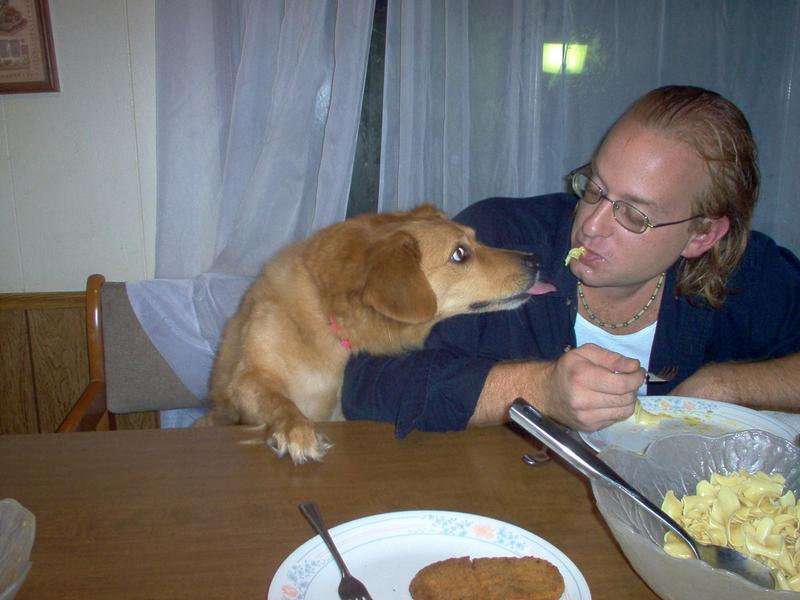 Dog; DISPLAY FULL IMAGE.