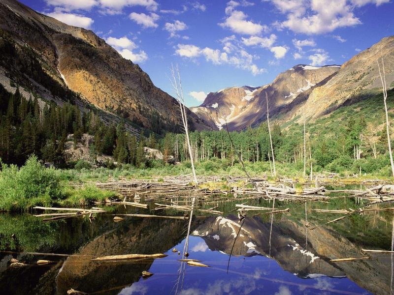 Beaver Pond, Lundy Canyon, Sierra Nevada Range, California; DISPLAY FULL IMAGE.