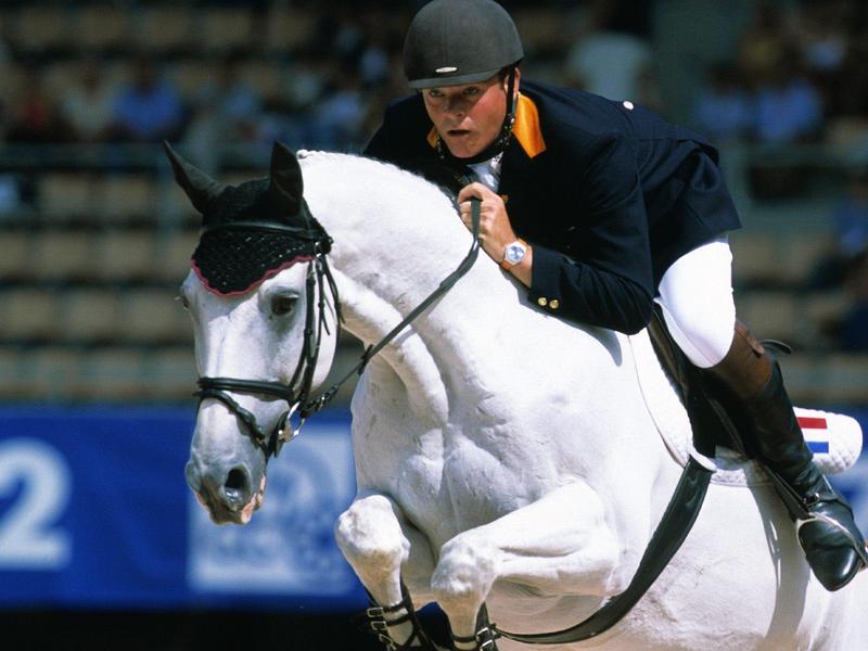 Leap of Faith (Horse); DISPLAY FULL IMAGE.