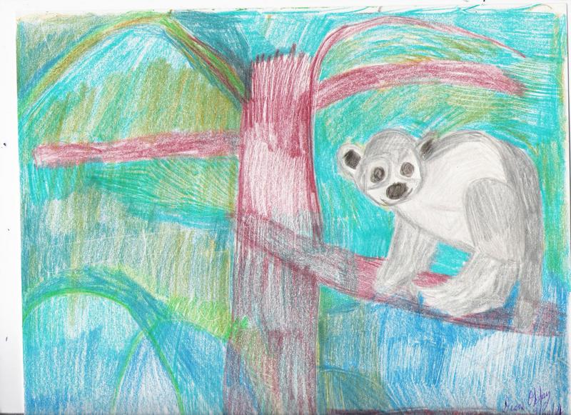 SPIDER MONKEY; DISPLAY FULL IMAGE.