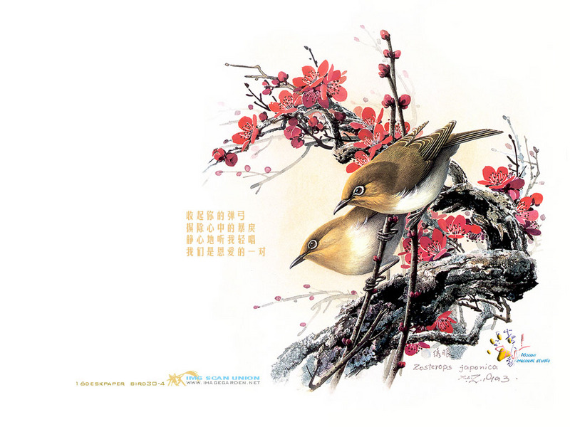 [Indian Ink Painting - China] Japanese White-eye (Zosterops japonica) {!--동박새-->; DISPLAY FULL IMAGE.