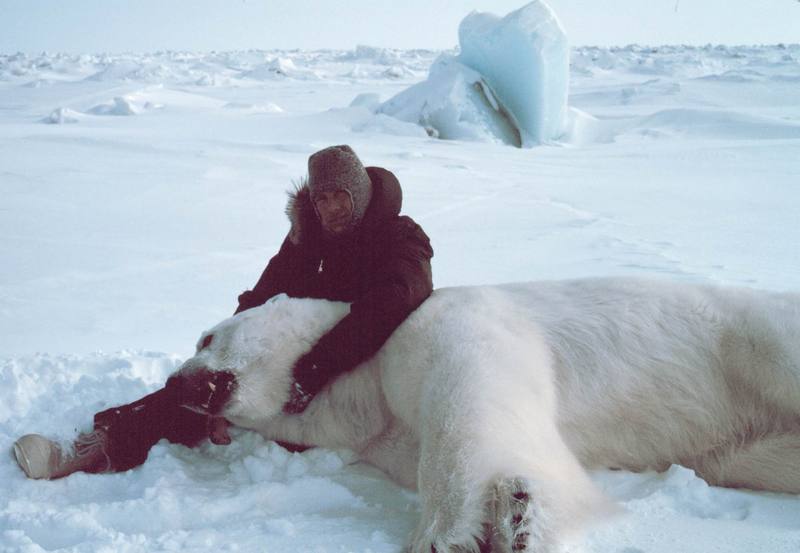 Polar Bear (Ursus maritimus) {!--북극곰-->; DISPLAY FULL IMAGE.
