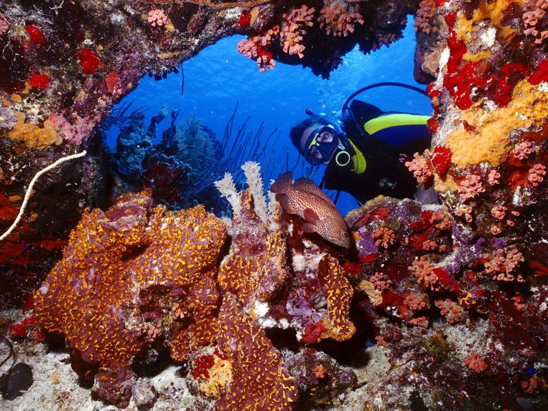 [Daily Photos CD 03] Bonaire Netherlands Antilles; DISPLAY FULL IMAGE.