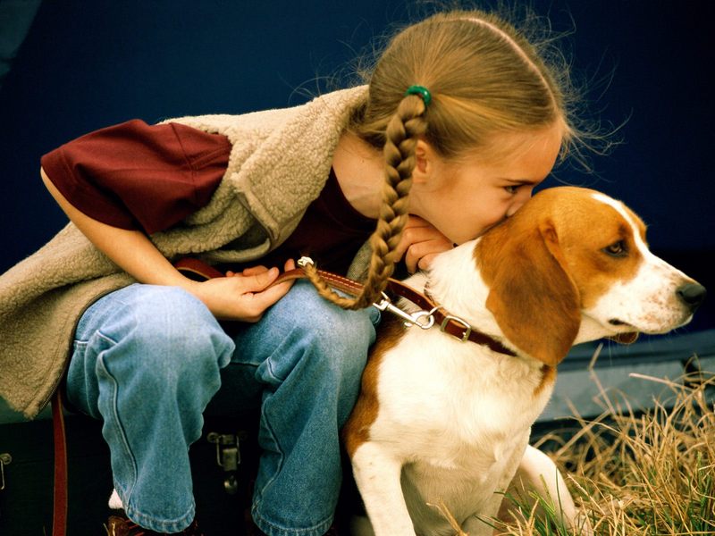 [Gallery CD1] Beagle Kisses; DISPLAY FULL IMAGE.