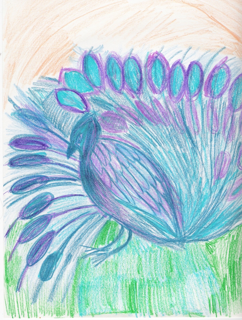 PEACOCK; DISPLAY FULL IMAGE.