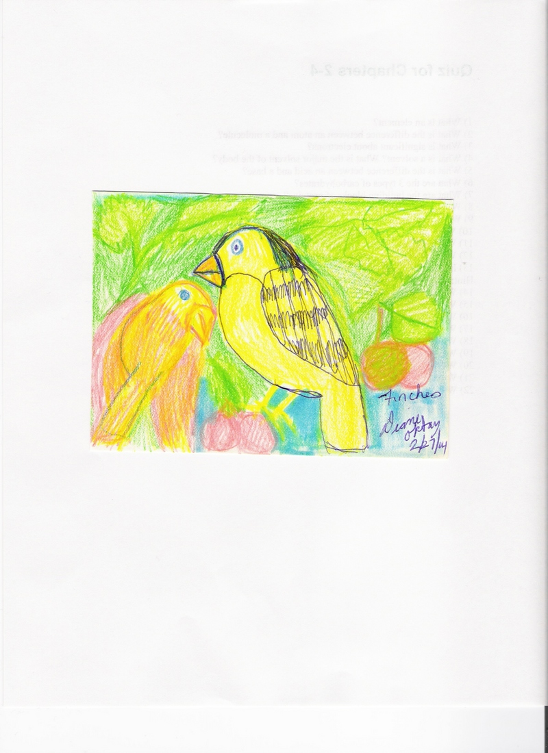 GOLDFINCHES; DISPLAY FULL IMAGE.