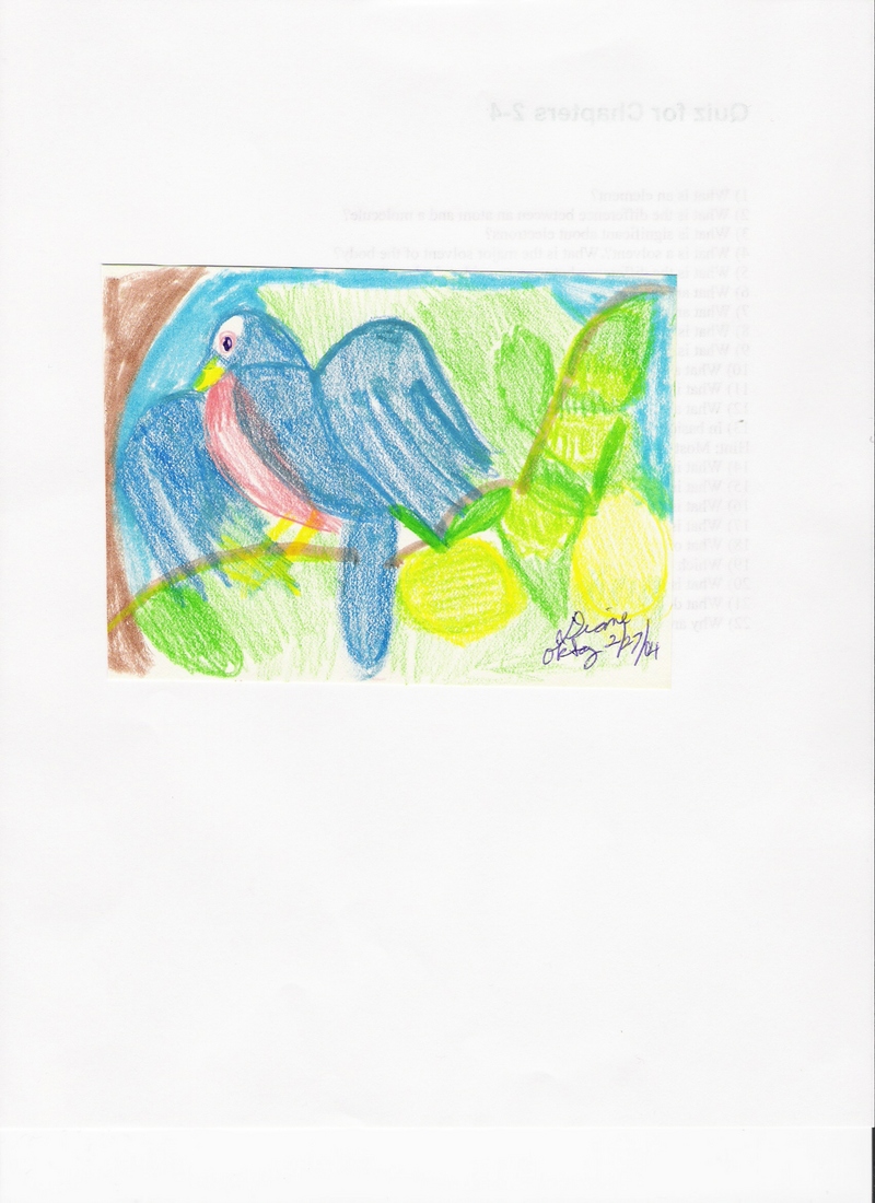BLUEBIRD; DISPLAY FULL IMAGE.