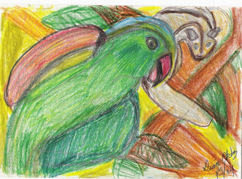 GREEN PARROT WITH SUGAR GLIDER; DISPLAY FULL IMAGE.