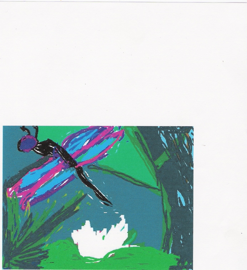 DRAGONFLY; DISPLAY FULL IMAGE.