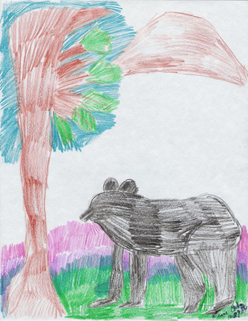 BLACK BEAR; DISPLAY FULL IMAGE.