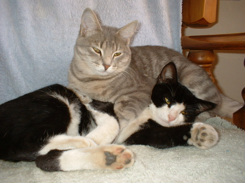 Just relaxing; DISPLAY FULL IMAGE.