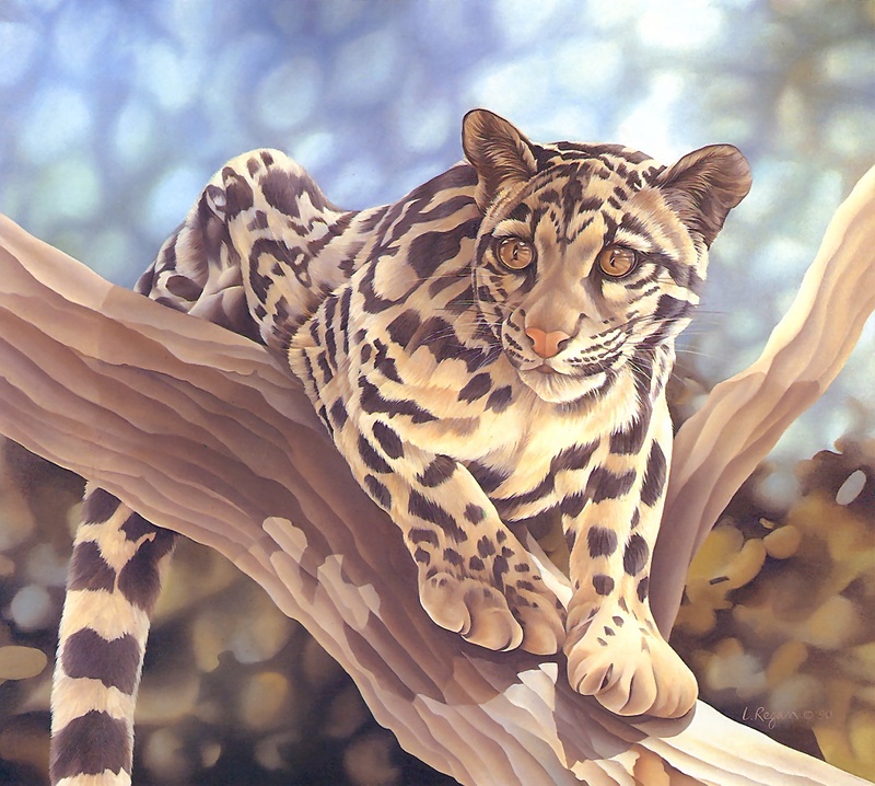 Consigliere Scan: Vanishing Species, The Wildlife Art of Laura Regan - 025 Ocelot; DISPLAY FULL IMAGE.