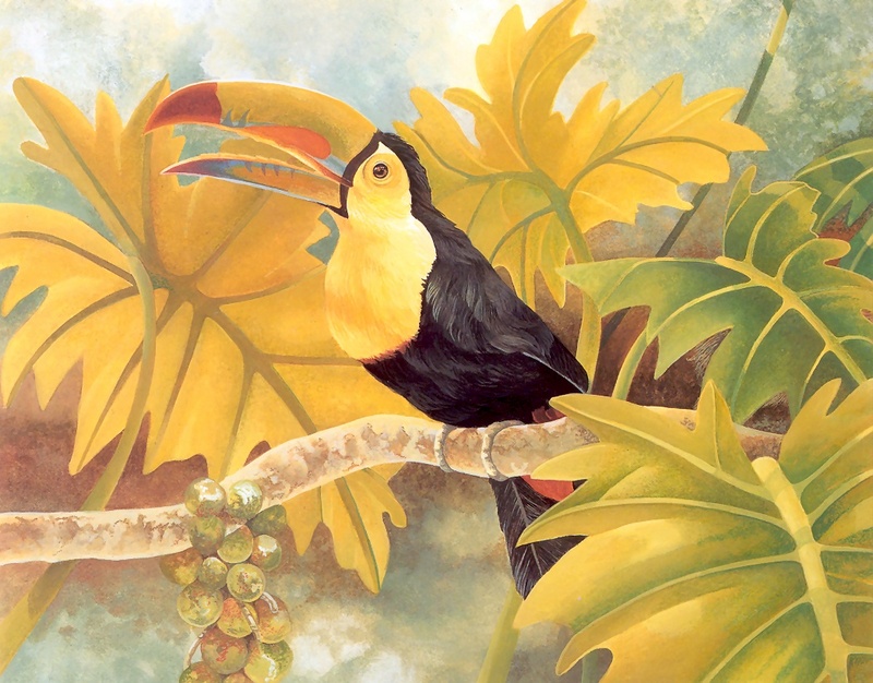 Consigliere Scan: Vanishing Species, The Wildlife Art of Laura Regan - 031 Keel-Billed Toucan; DISPLAY FULL IMAGE.