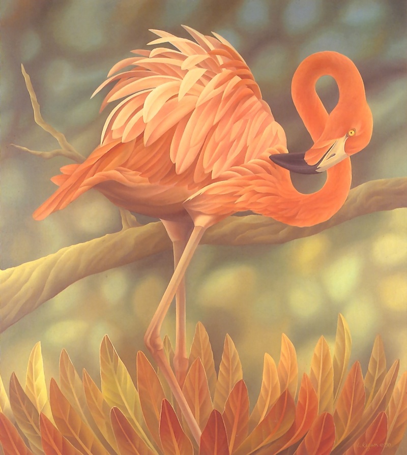Consigliere Scan: Vanishing Species, The Wildlife Art of Laura Regan - 043 American Flamingo; DISPLAY FULL IMAGE.