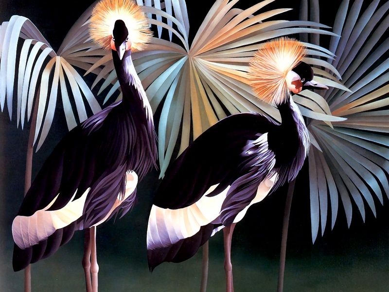 Consigliere Scan: Vanishing Species (Wallpaper) 018 West African Crowned Crane; DISPLAY FULL IMAGE.