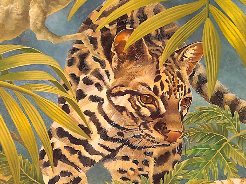 Consigliere Scan: Vanishing Species (Wallpaper) 021 Ocelot; DISPLAY FULL IMAGE.