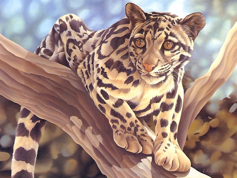 Consigliere Scan: Vanishing Species (Wallpaper) 022 Ocelot; DISPLAY FULL IMAGE.