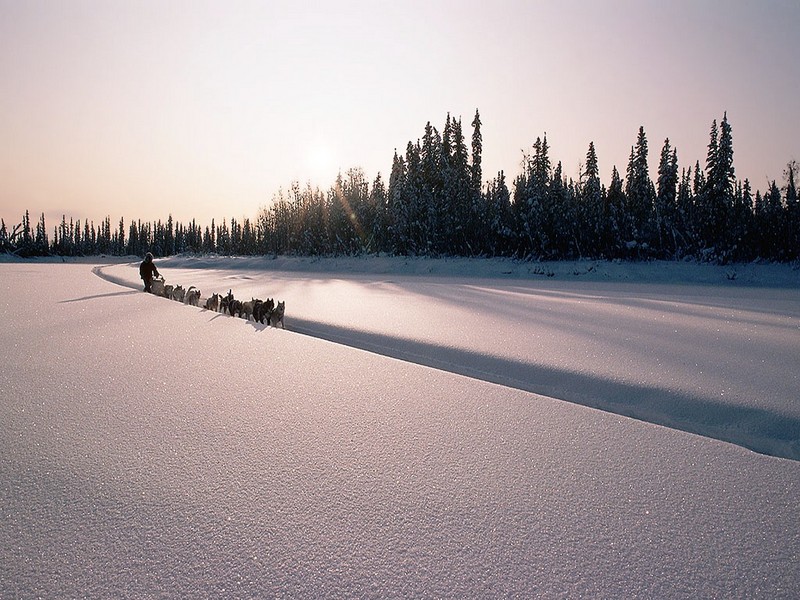 Screen Themes - Alaskan Wilderness - Sledder Racing in Yukon Quest; DISPLAY FULL IMAGE.