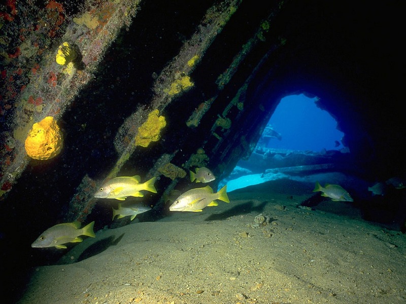 Screen Themes - Shipwrecks - Balboa Wreck in Grand Cayman; DISPLAY FULL IMAGE.