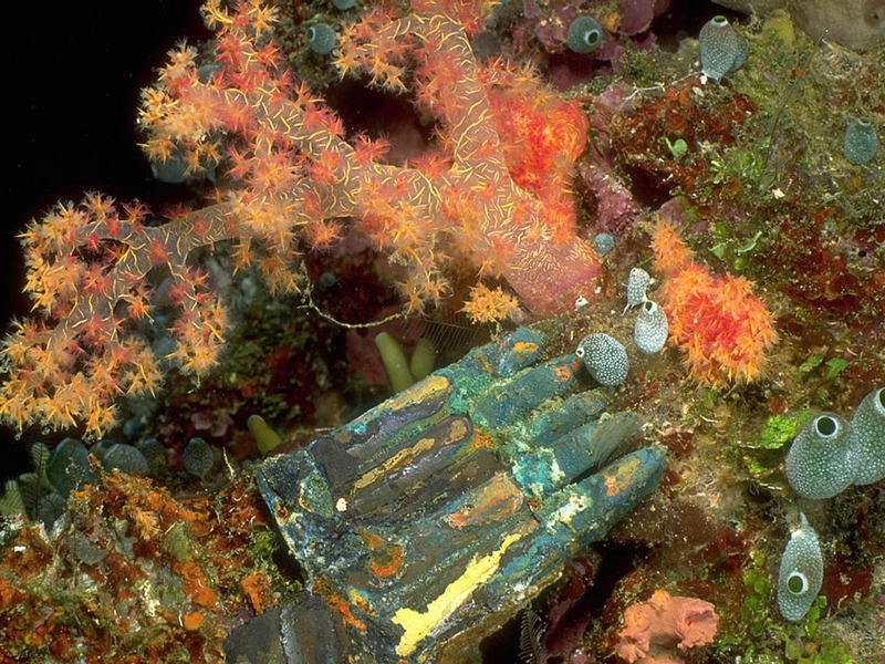 Screen Themes - Shipwrecks - Bullets & Soft Coral; DISPLAY FULL IMAGE.