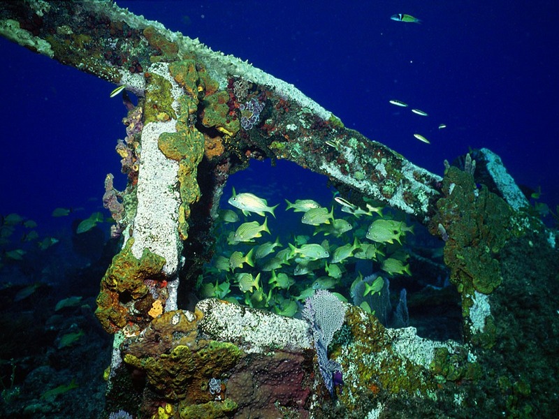 Screen Themes - Shipwrecks - Reef Scene with Shipwreck; DISPLAY FULL IMAGE.