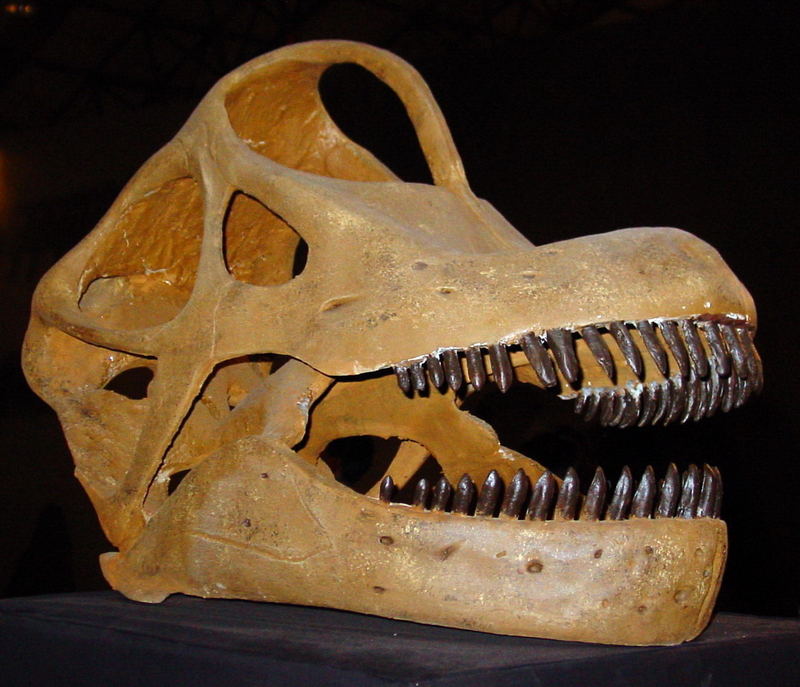 Dinosaur 01; DISPLAY FULL IMAGE.