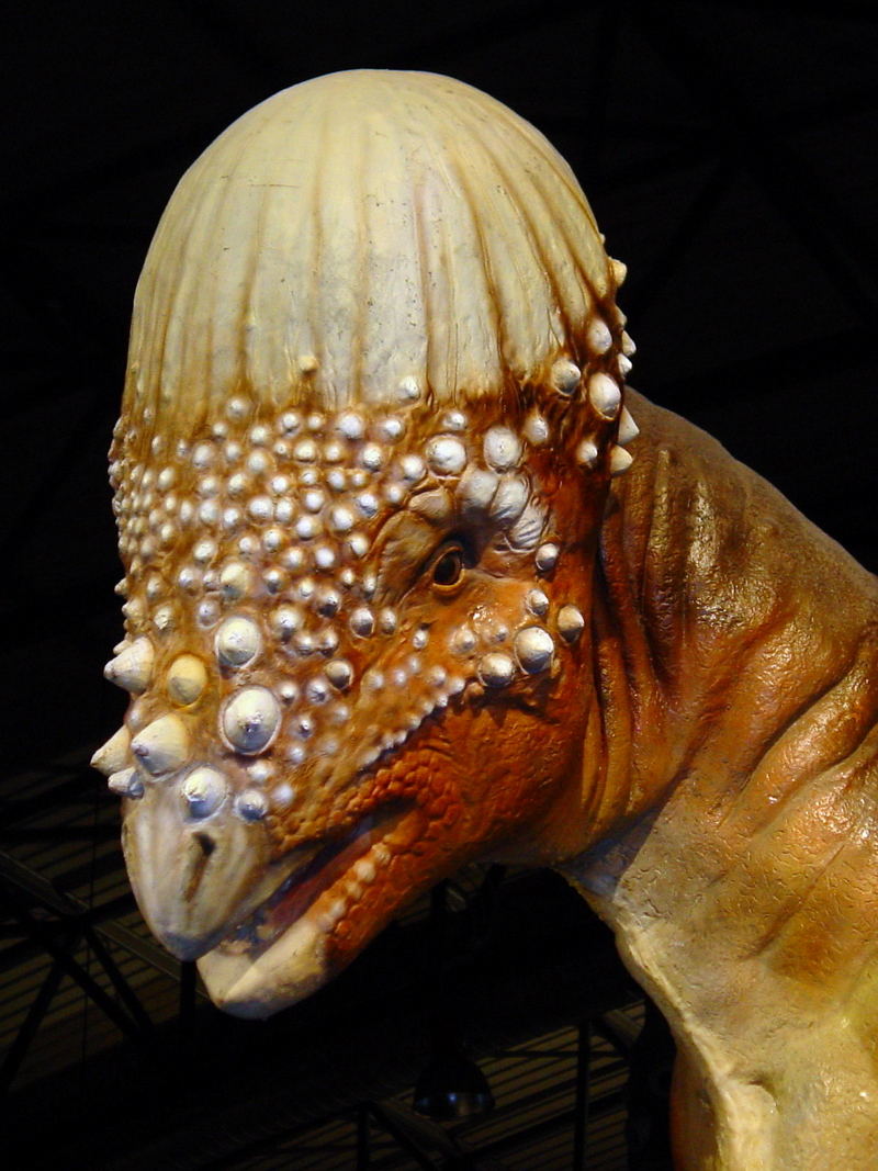 Dinosaur 06; DISPLAY FULL IMAGE.