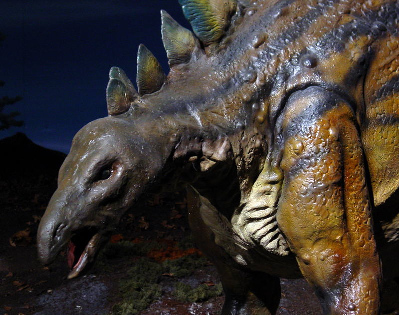 Dinosaur 07; DISPLAY FULL IMAGE.
