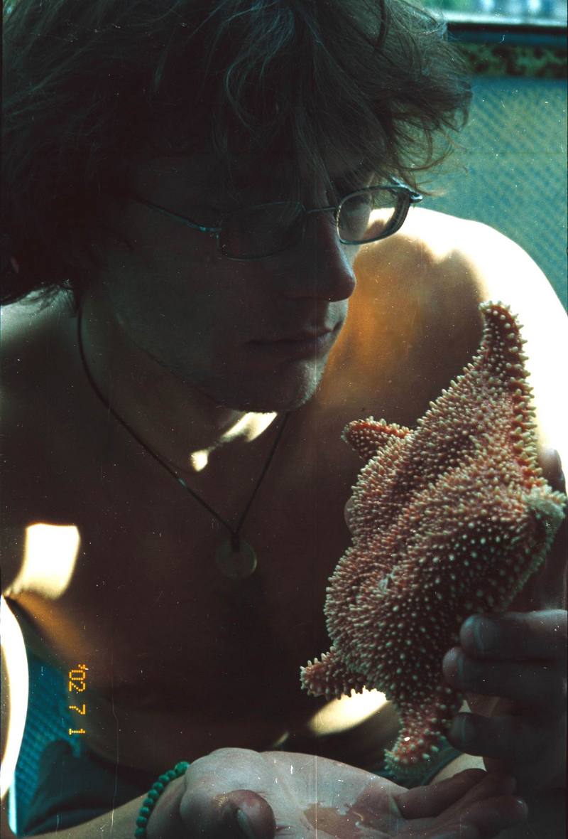 Sea Star (Hippasteria phrygiana) {!--불가사리-->; DISPLAY FULL IMAGE.