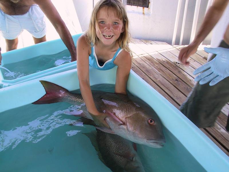 Mutton Snapper (Lutjanus analis) {!--퉁돔류-->; DISPLAY FULL IMAGE.