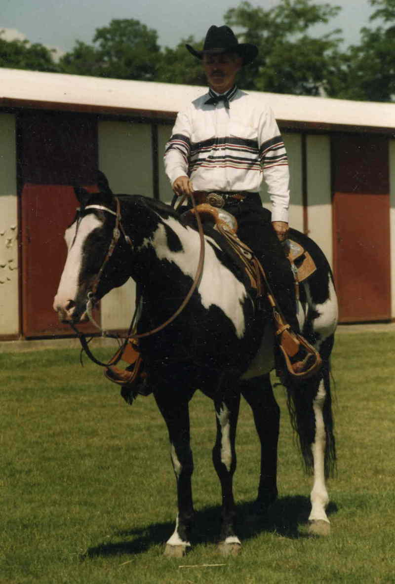 horses; DISPLAY FULL IMAGE.