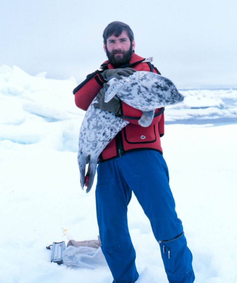 Spotted Seal (Phoca largha) {!--물범-->; DISPLAY FULL IMAGE.