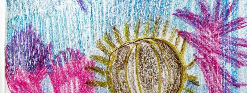 Sea Aneomones & Sea Urchin; DISPLAY FULL IMAGE.