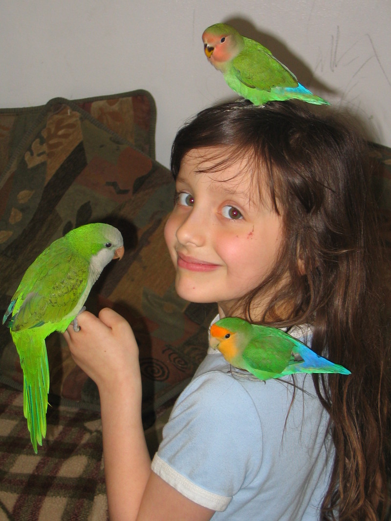 playtime with my pets! :); DISPLAY FULL IMAGE.
