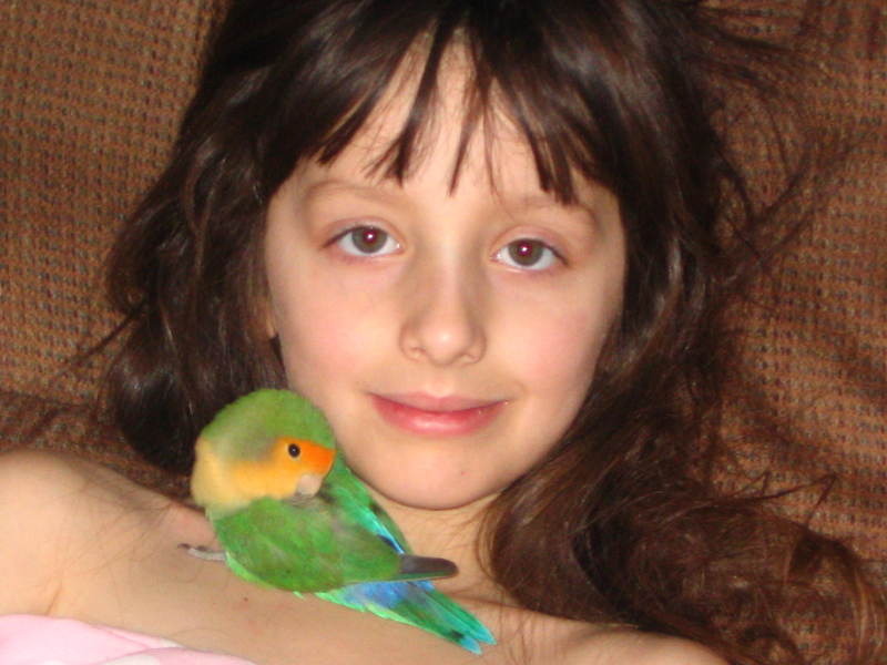 lovebird; DISPLAY FULL IMAGE.