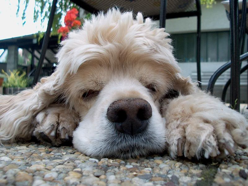 Marci; DISPLAY FULL IMAGE.